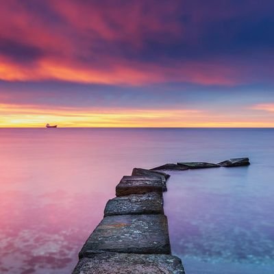 HarryQiu25's profile picture. 