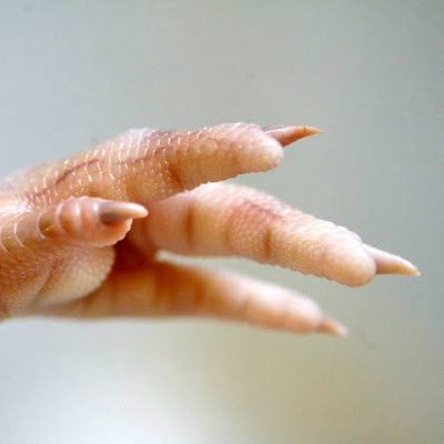 Ashok54593304's profile picture. 