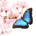 Sunny🦋 (@iridescentsunny) Twitter profile photo Sunny🦋 (@iridescentsunny) Twitter profile photo