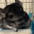Pural20190501