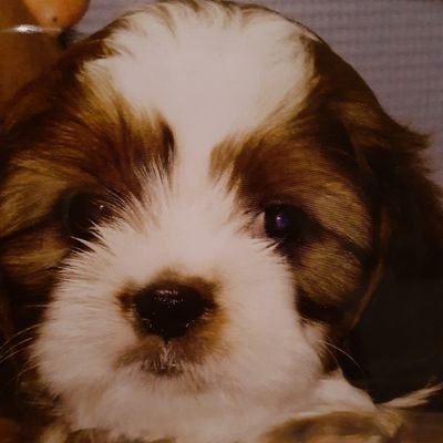 EFw6KkQQrclqHCB's profile picture. Ms.OOJAと、浜田省吾が大好きなオッサンです😆🎵🎵