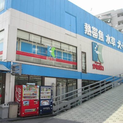 埼玉県草加市にあるオールペット大型店舗です。1階フロアは熱帯魚水槽500本！小型魚から大型魚までお任せ下さい！2階フロアには毎週多数入舎の可愛い犬猫から、観賞魚用品まで取り揃えております。お気軽にお問い合わせ下さいませ。 TEL048-943-1101 通販専用080-9424-1101 動物取扱業 75-0294号