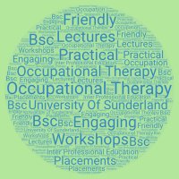 University of Sunderland Occupational Therapy(@SunderlandOT) 's Twitter Profile Photo