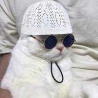 آرمان (@_arman____) 's Twitter Profile