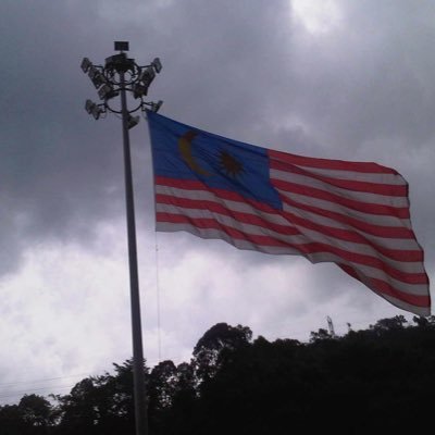 themalayflaneur Profile Picture