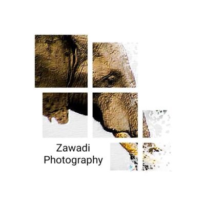 Photographer, Mom, adventurous, tenacious and lover of the South African bush. Zawadi meaning Gift in swahili... And that is what photography is...