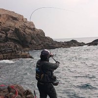 蓮 (@design_et) 's Twitter Profile