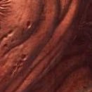 Aleexxanderrrr's profile picture. 