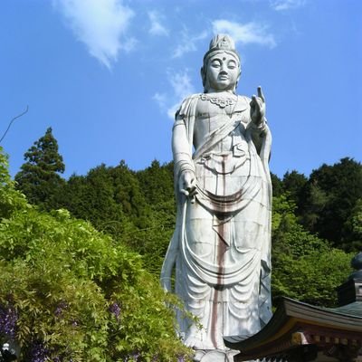 tetutora334's profile picture. 大悲無倦常照我



いつも空の上から阿弥陀如来が見守ってくれたはる、こっちが如来のこと忘れてる時でさえ。
こんな有難いことがあるでしょうか。
「まかせよ、まかせよ、必ず救う」の
南無阿弥陀仏に支えられて日々生かさせていただいていまーす。
元気の元は、阪神タイガース観戦と
　　　　中村屋、澤瀉屋の観劇でーす。