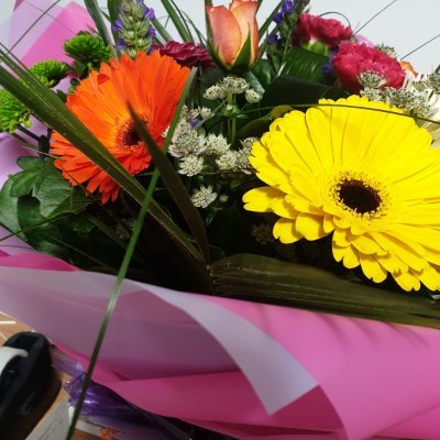 EdwardsJane4's profile picture. 