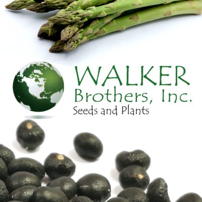 World's largest green asparagus seed producer; 世界最大的綠蘆筍種子生產商; El mayor productor mundial de semillas de espárragos verdes. Proud member of @WTCDelaware