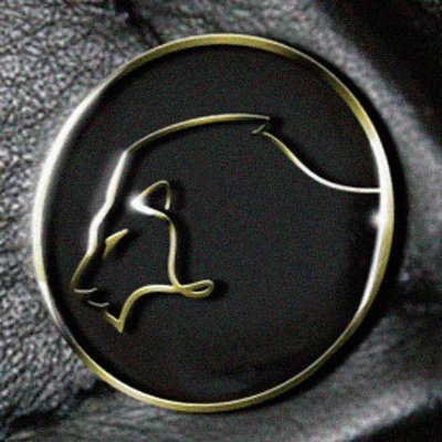 LeonCueros's profile picture. Nos unimos a la cadena productiva de elaboración de tapabocas! Sin embargo, puedes comprar tu chaqueta en puro cuero, personalizada y en los mejores materiales!