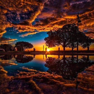 aleajactaest431's profile picture. viva la vida!!