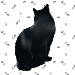 春夜さんのプロフィール画像