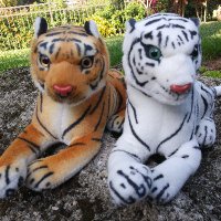 The Travel Tigers(@tigers_travel) 's Twitter Profile Photo