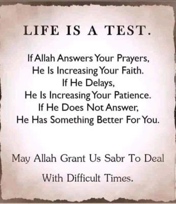 HilalAdan's profile picture. 