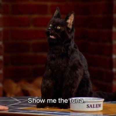 Qwerrdza's profile picture. 犬を見たり、猫を見たり、赤ちゃんを見たり、ワインを見たり、ミッキーを見たり、筋肉を見たり、鴨川を見たり。