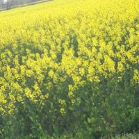 Nur geträumt (@frauvonmuede) 's Twitter Profile