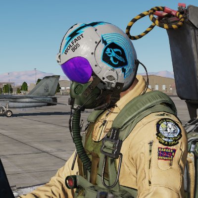 Flight Sim account for @wolfast(personal) Over 35 years in sim aviation. Professional in the Radio Controlled Hobby industry. #dcsWorld #avgeek