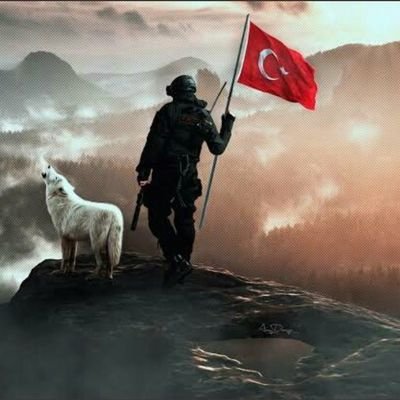 micropca's profile picture. ton coin adres;
 EQC0lrj3O0af8GotieYsTXChA_wijIIVN7Sd_wkgYLwoH07q

memo: 1176827180