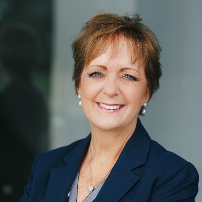 Realtor, REMAX Advantage Plus, The MN Real Estate Team