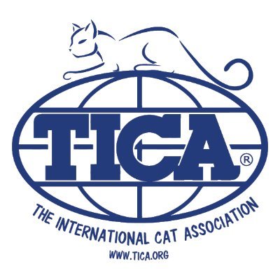 The International Cat Association 🐱 World's largest genetic registry of pedigreed cats, the largest registry of household pet cats and kittens.