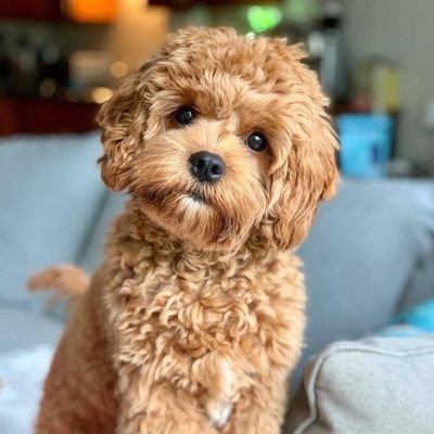 TweetUnathi's profile picture. Dream, Dream, Dream...I'm a dreamer...If you stop dreaming, you stop living