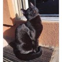 Ronald Antonio Meléndez Espinoza - @RonaldAntonioM8 - Twitter