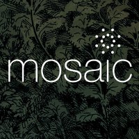 Mosaic Kansas City (@mosaickc) 's Twitter Profile