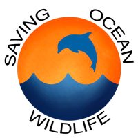 Saving Ocean Wildlife (SOW)(@Saving_Ocean) 's Twitter Profile Photo