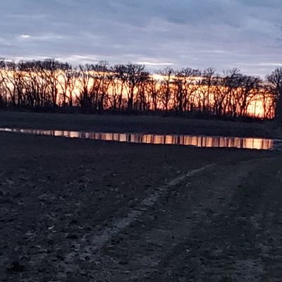 GoCubs1973's profile picture. 