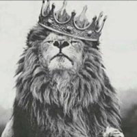 محمد༆ (@y772m) 's Twitter Profile