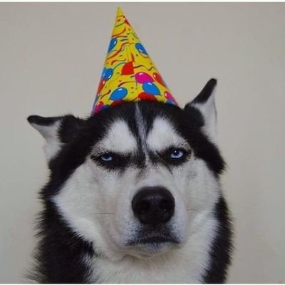 dizynueve's profile picture. psicología con base en evidencia