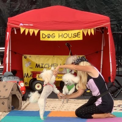 skyboundcanines's profile picture. Dog Mom, performer, passionate social activist, seeker of truth and goodness