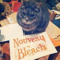 NouveauBleach(@BleachNouveau) 's Twitter Profile Photo