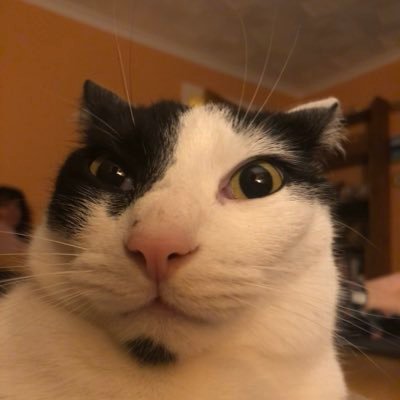 SisterSinghRae's profile picture. 