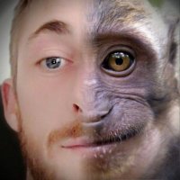O'Brian (@obrian_guevara) 's Twitter Profile