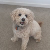 Cooper Loht (@cooper_loht) 's Twitter Profile