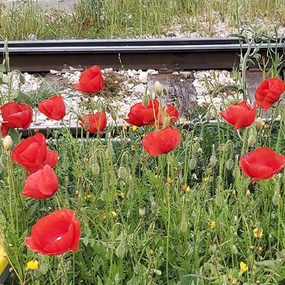 Minguez47's profile picture. 