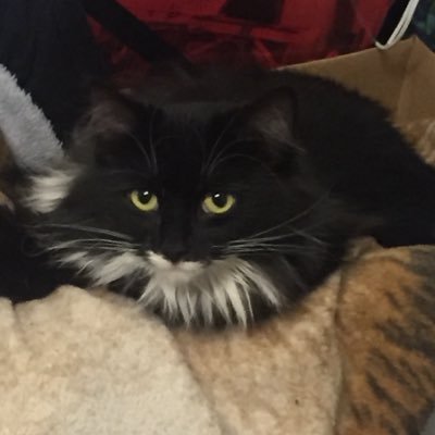 Arianne46583561's profile picture. 