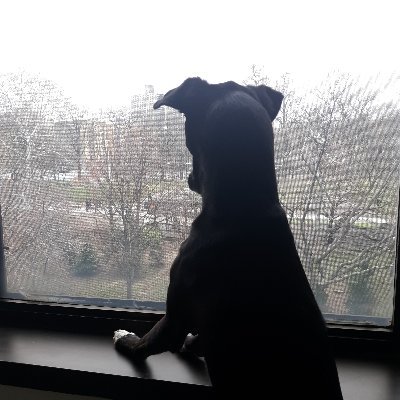 TCA_MD's profile picture. MD/MPH - new to twitter, pls excuse my inevitable social media faux-pas