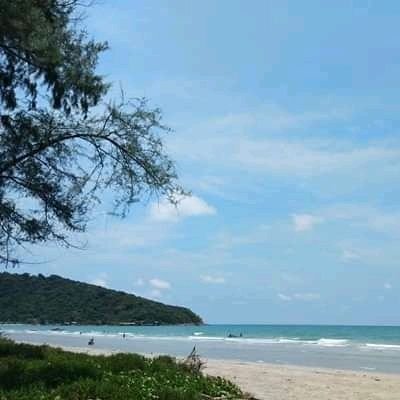 diyfDVhX08gDL6v's profile picture. 