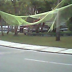 Eduard_gonzales's profile picture. 