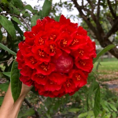 Diana84378251's profile picture. 