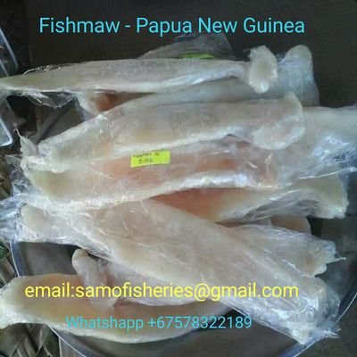 Fishmaw seller in Papua New Guinea
Phone :+67573477226
whatshapp +67578322189