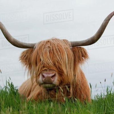 KseTheCheese1's profile picture. ztz gamer

gay/18 lol