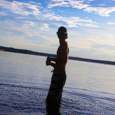 Live streamer on twitch. So check me out and join the Wolf Squad. YouTube channel is vX Wolf