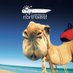 Australia's North West (@austnorthwest) Twitter profile photo Australia's North West (@austnorthwest) Twitter profile photo