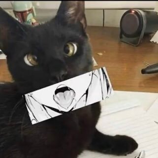 BodilyFunction2's profile picture. “Which bodily function are you?” yes haha you are the pinnacle of comedy. Please stop you got the whole squad laughing.