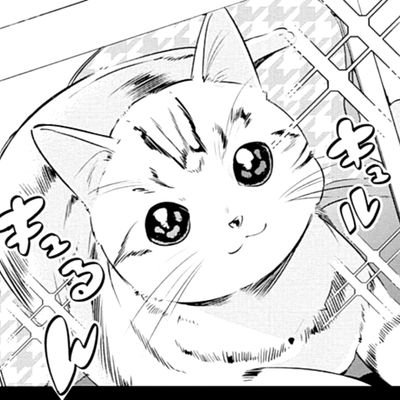Carol Bon Ebagさんのプロフィール画像